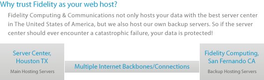 Website Hosting